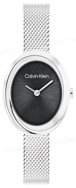 Calvin Klein CK25100151 karóra
