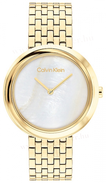 Calvin Klein CK25200321 karóra